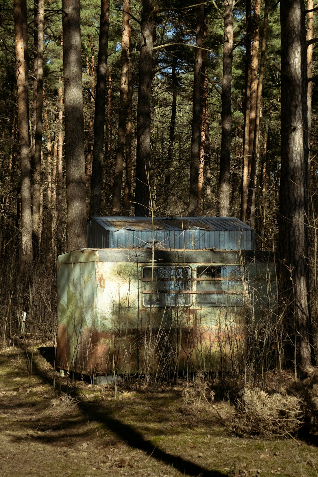 An old trailer sits abandoned in a forest.